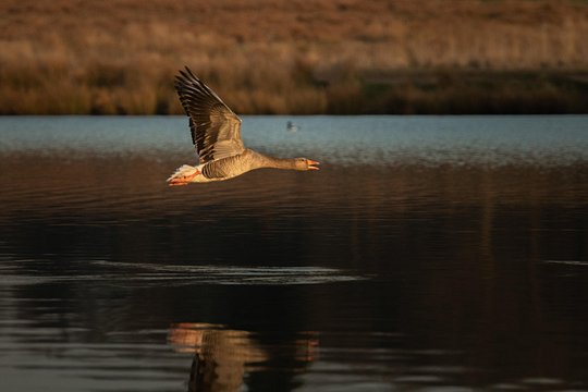Tour image 12