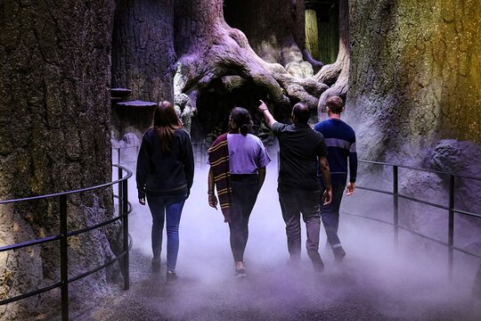 Tour image 5